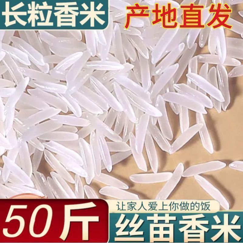 净重50斤】猫牙香米50斤批发丝苗米现磨直发农家长粒香米