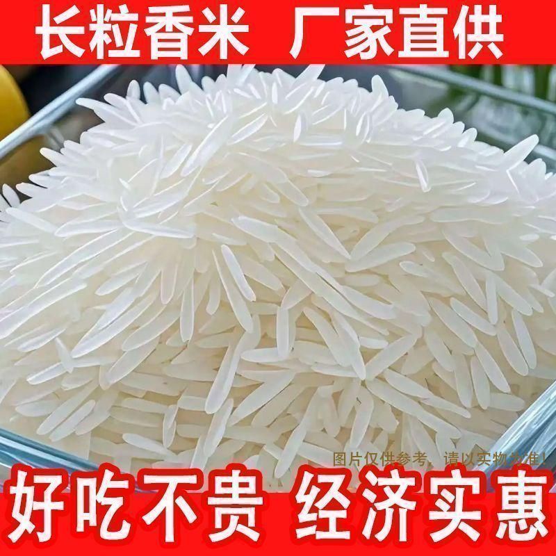 净重50斤】猫牙香米50斤批发丝苗米现磨直发农家长粒香米