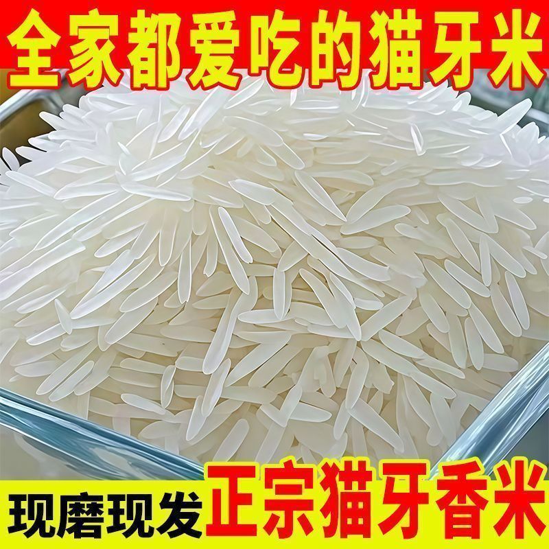 净重50斤】猫牙香米50斤批发丝苗米现磨直发农家长粒香米