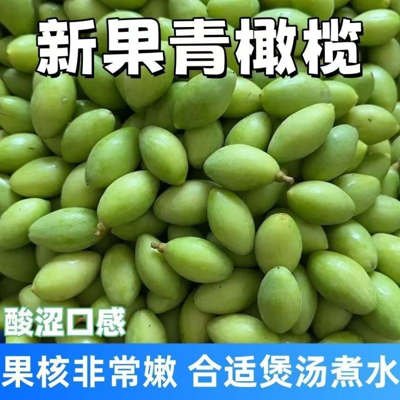 新橄榄新鲜青橄榄生橄榄果青果批发量大管够