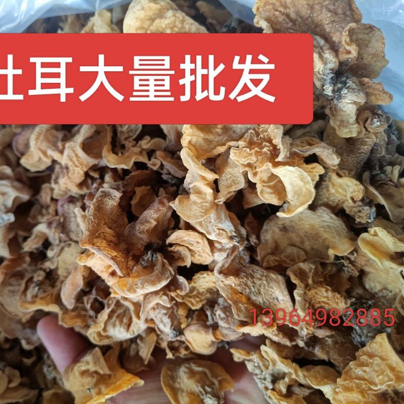 羊肚耳批发零售优质羊肚耳沙耳羊肚耳