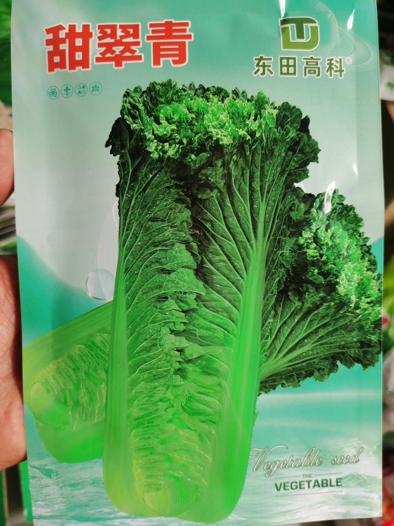 甜脆青65甜翠青青麻叶类型白菜绍菜