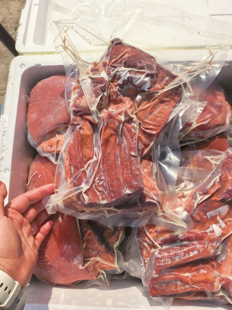 熟马肉带皮熟马肉熟马毽子熟马肋条马腿肉