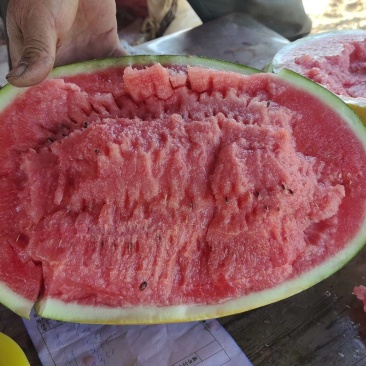 直生无籽锦王西瓜