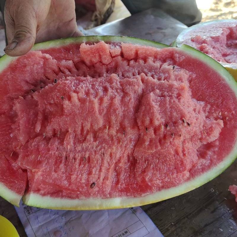 直生无籽锦王西瓜