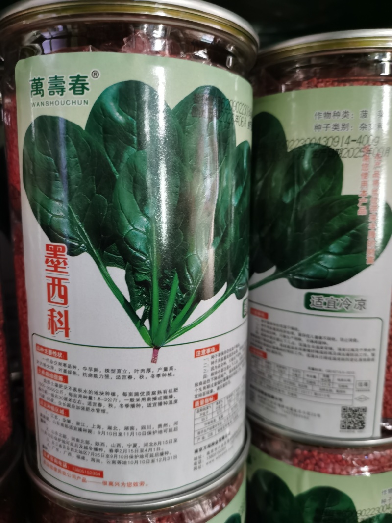 墨本尔墨地趴墨西科菠菜种子深绿光亮抗寒耐抽苔
