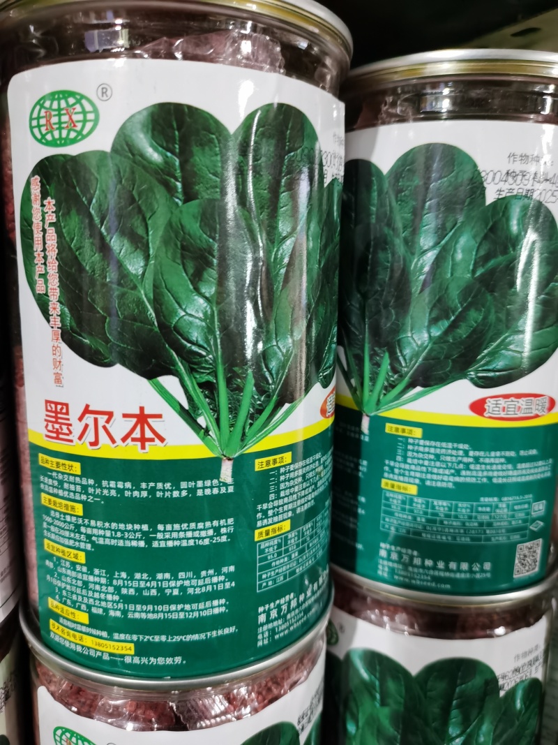 墨本尔墨地趴墨西科菠菜种子深绿光亮抗寒耐抽苔