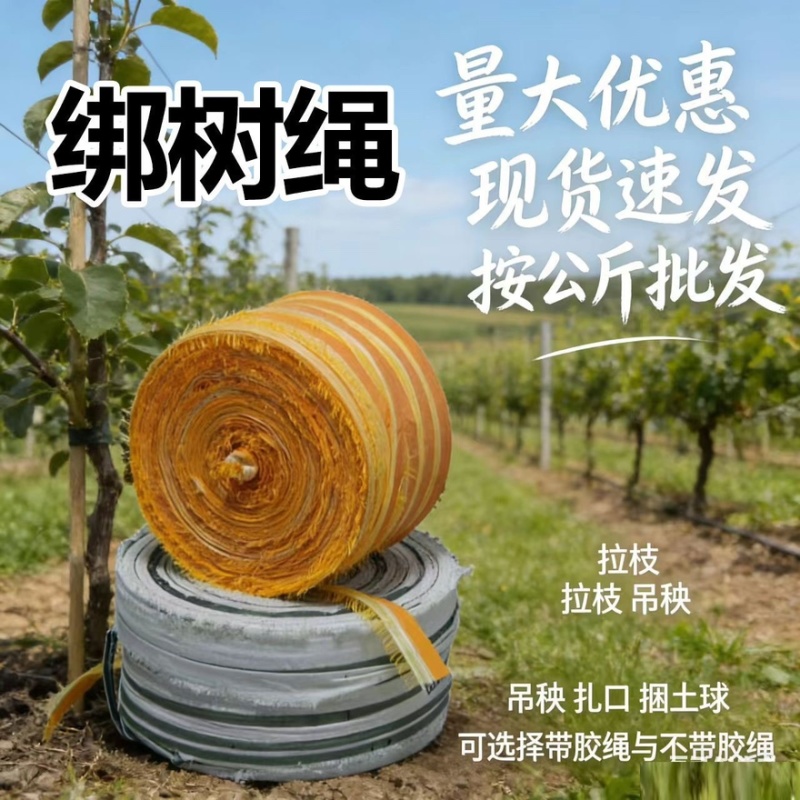大棚果树吊样拉树枝定型绳捆土球