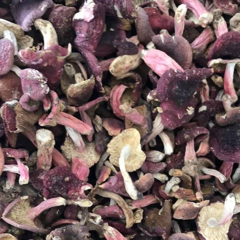 大量现货批发小红菇二红菇3—8公分