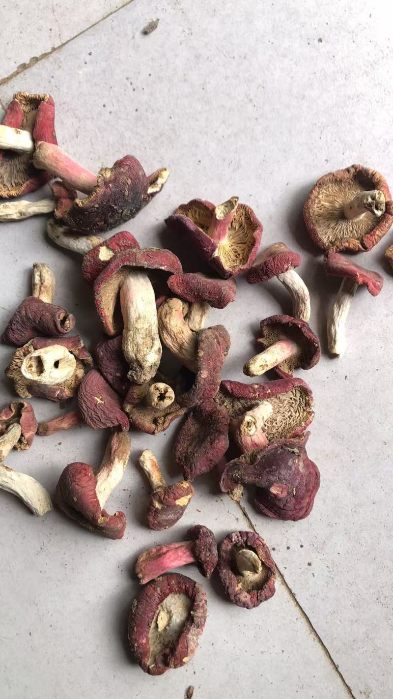 大量现货批发小红菇二红菇3—8公分