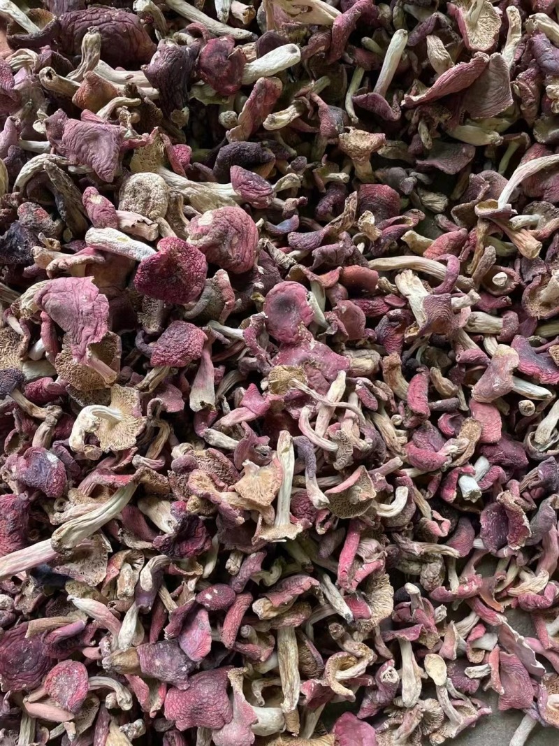 大量现货批发小红菇二红菇3—8公分