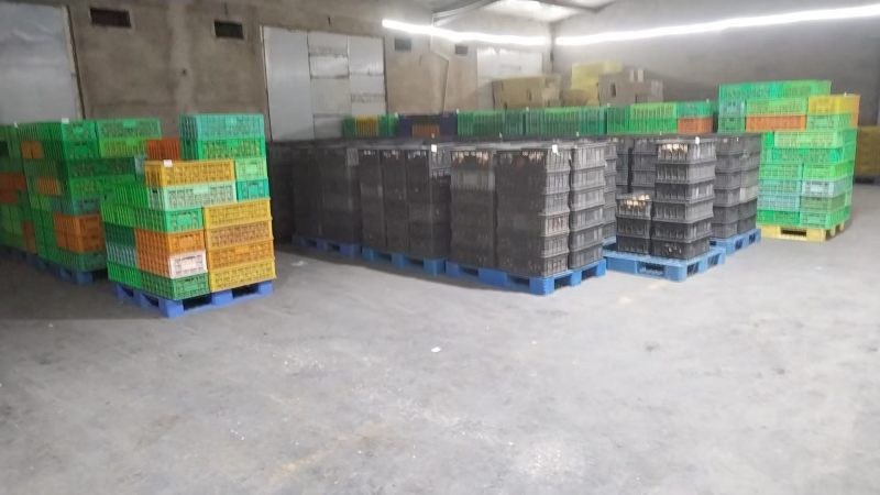鸡蛋大量现货长期出货