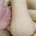奶油南瓜，瓜型好，老度到位，口感软，糯，甜。是老少皆佳品