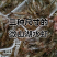 微山湖五节腿大清虾