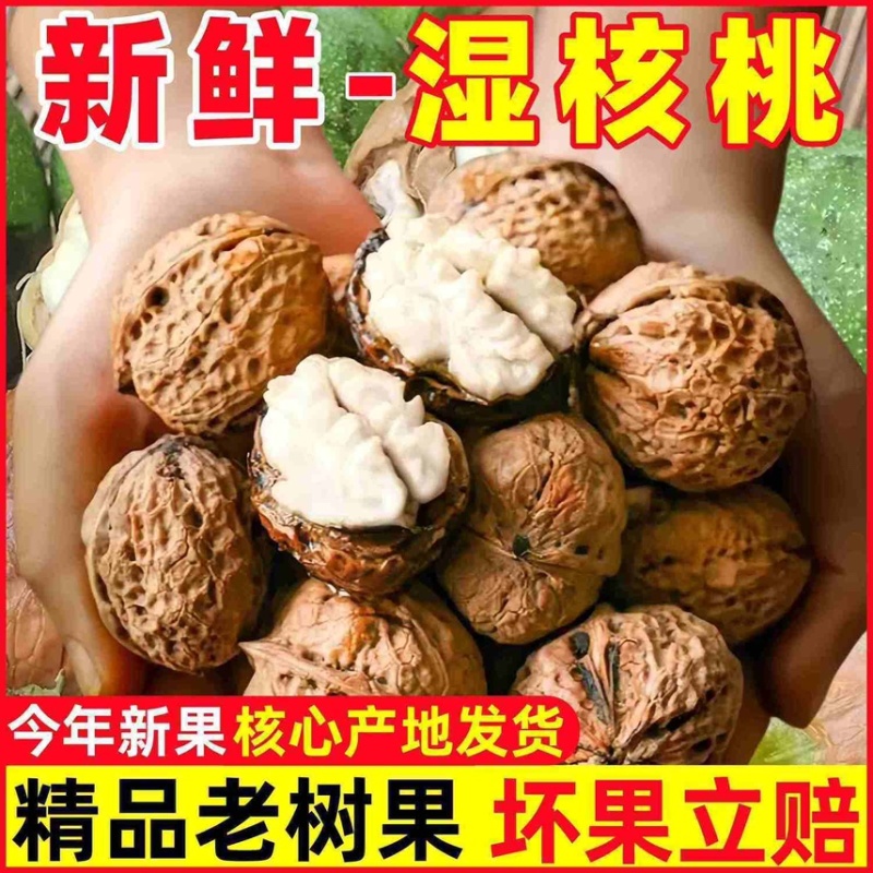 一键代发青皮核桃