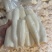 黄肉去皮木薯