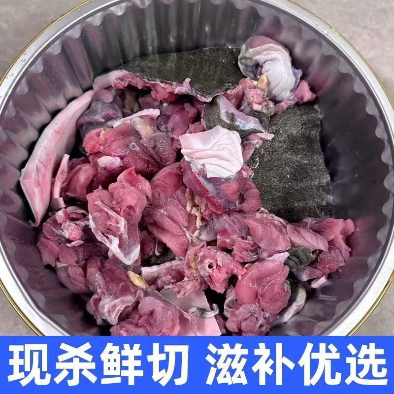 活杀新鲜甲鱼块