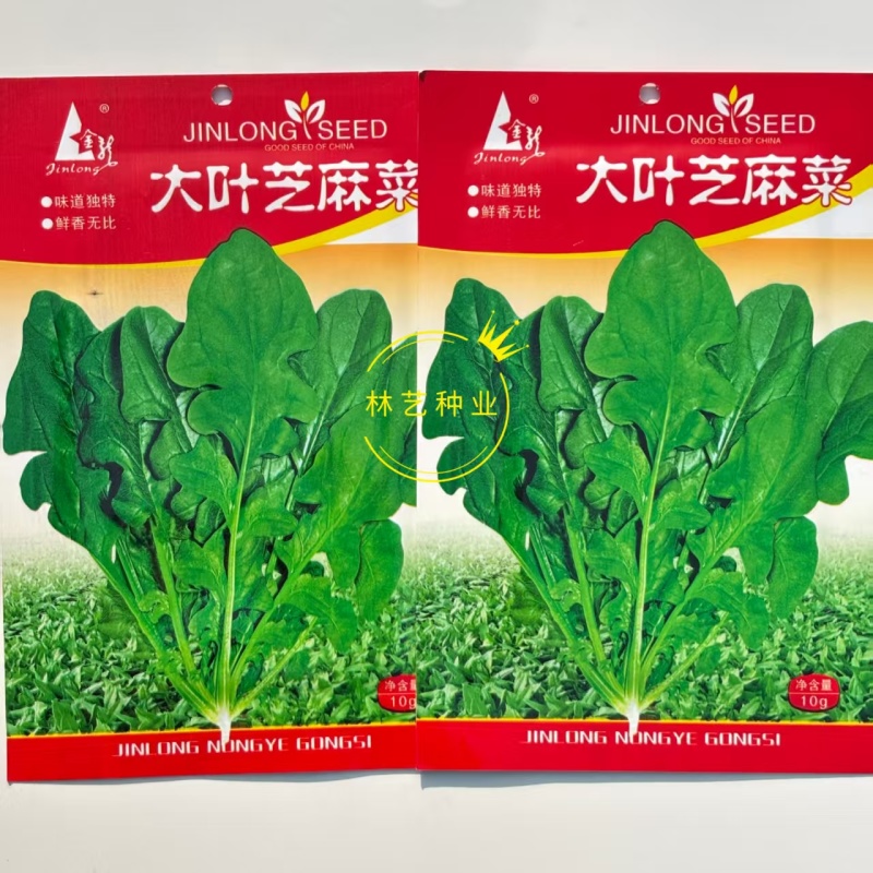 大叶芝麻菜种子小青菜火箭生菜种籽四季菜籽种盆栽东北臭菜菜