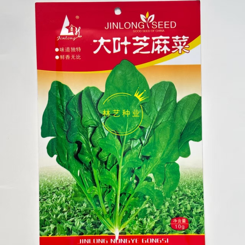 大叶芝麻菜种子小青菜火箭生菜种籽四季菜籽种盆栽东北臭菜菜