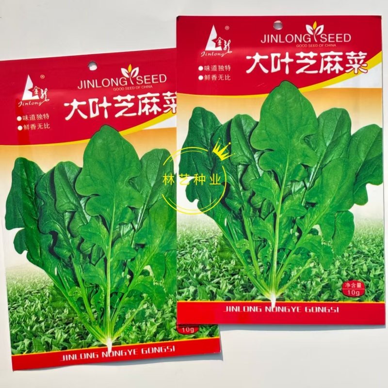 大叶芝麻菜种子小青菜火箭生菜种籽四季菜籽种盆栽东北臭菜菜