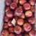 山西运城珍珠早油桃大量上市了