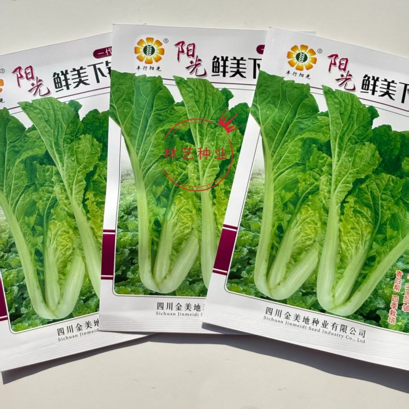 鲜美下锅耙小白菜种子皱叶苗用口感香甜爽口软糯滑嫩开锅即熟