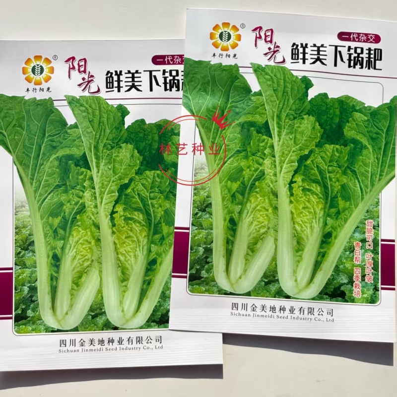 鲜美下锅耙小白菜种子皱叶苗用口感香甜爽口软糯滑嫩开锅即熟