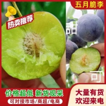 四川～汉源～精品5月脆～产地直供，一首货源