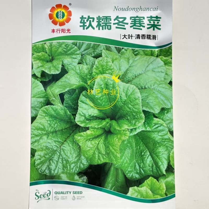 软糯冬寒菜种子绿叶绿茎叶片肥大呈扇圆形食用营养丰富软糯滑