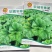软糯冬寒菜种子绿叶绿茎叶片肥大呈扇圆形食用营养丰富软糯滑