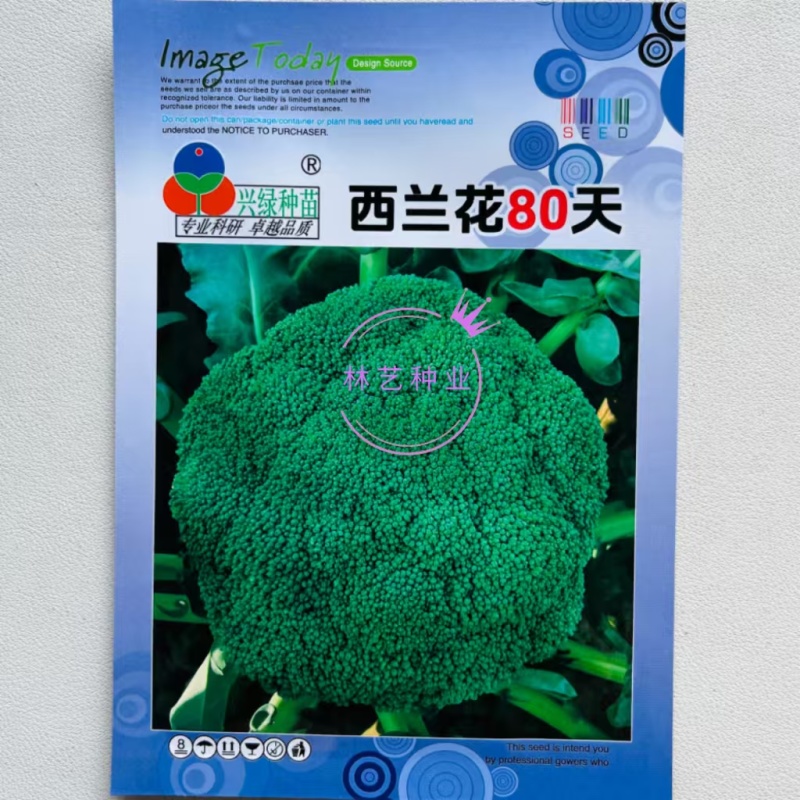 80天西兰花种子绿色花菜蔬菜种子花椰菜耐寒耐热花菜籽有机