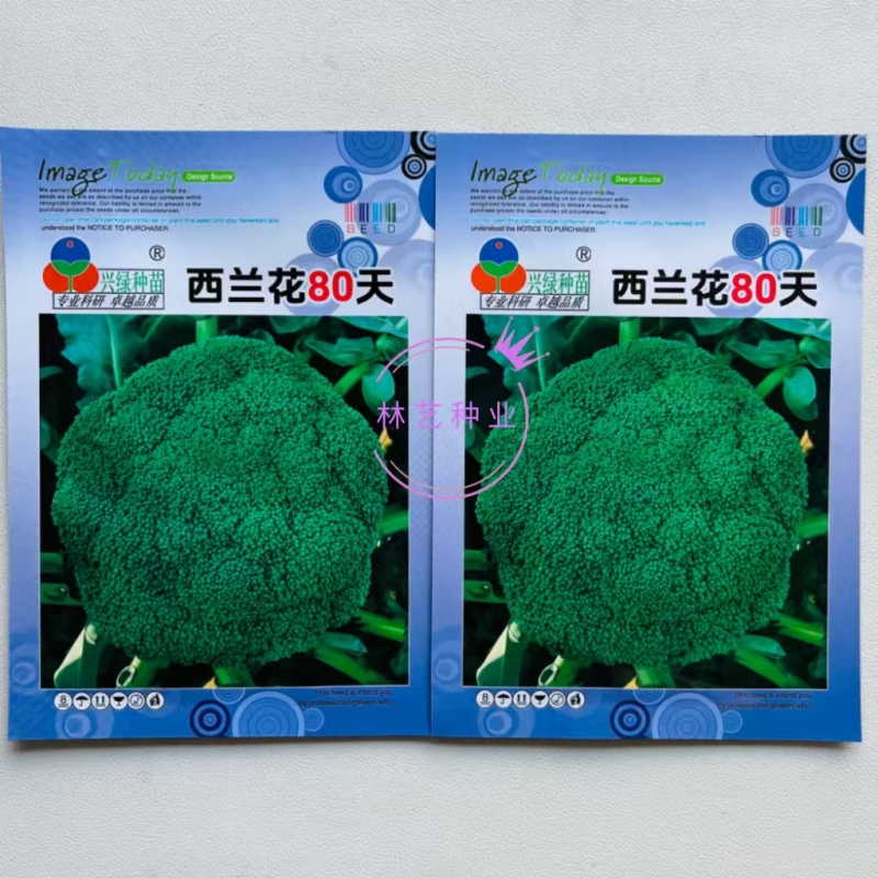80天西兰花种子绿色花菜蔬菜种子花椰菜耐寒耐热花菜籽有机