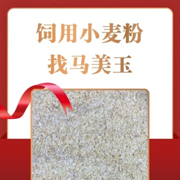 饲用小麦粉