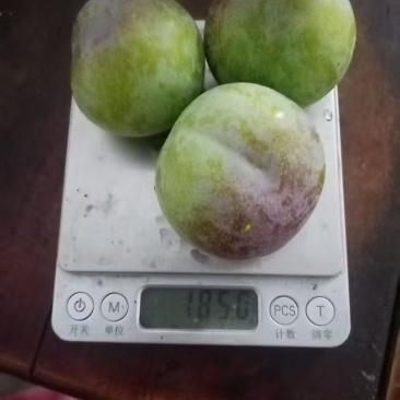 大量半边红正在出货有需要的老板可以联系了