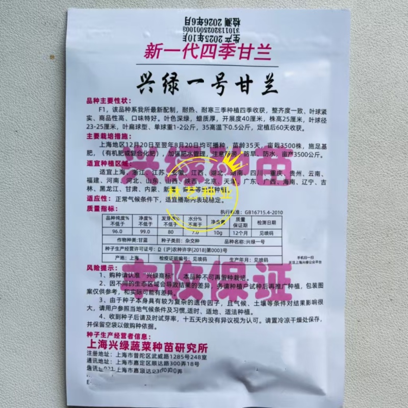 兴绿一号甘兰种子杂交高扁圆形球色绿有光泽抗病强耐热