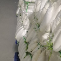榆林白萝卜，红萝卜，圆萝卜