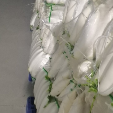 榆林白萝卜，红萝卜，圆萝卜