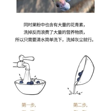 露天蓝莓，蓝丰，营养丰富。价格美丽，大量上市
