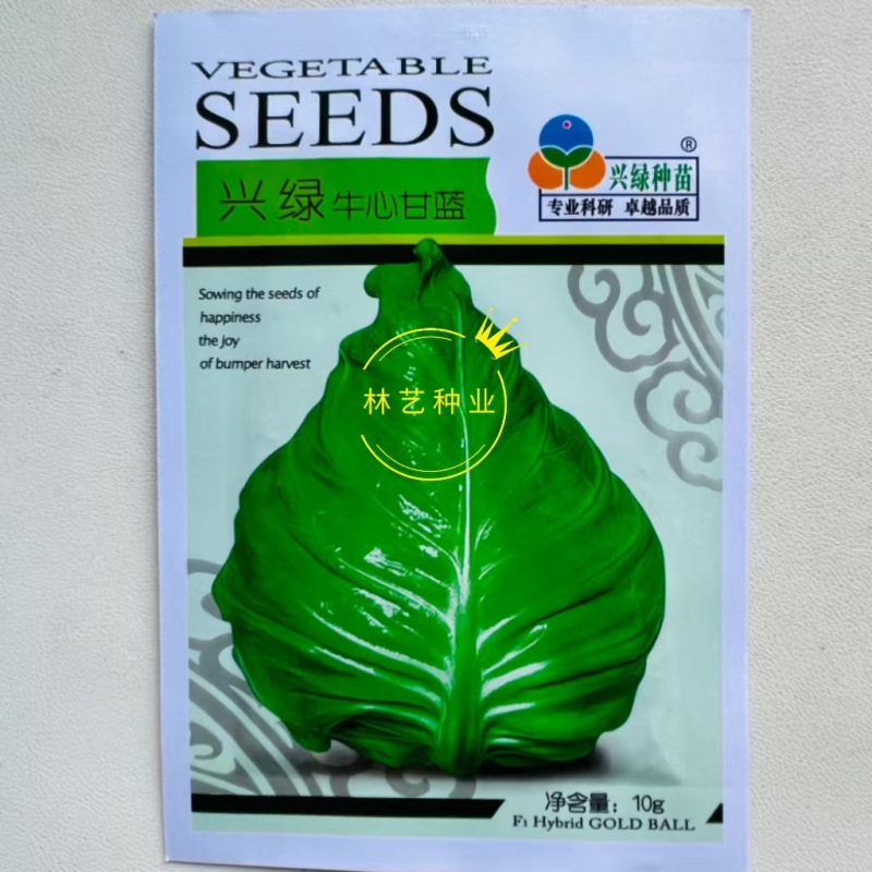 兴绿牛心甘蓝种子中熟包心菜种籽叶球紧实春秋种植