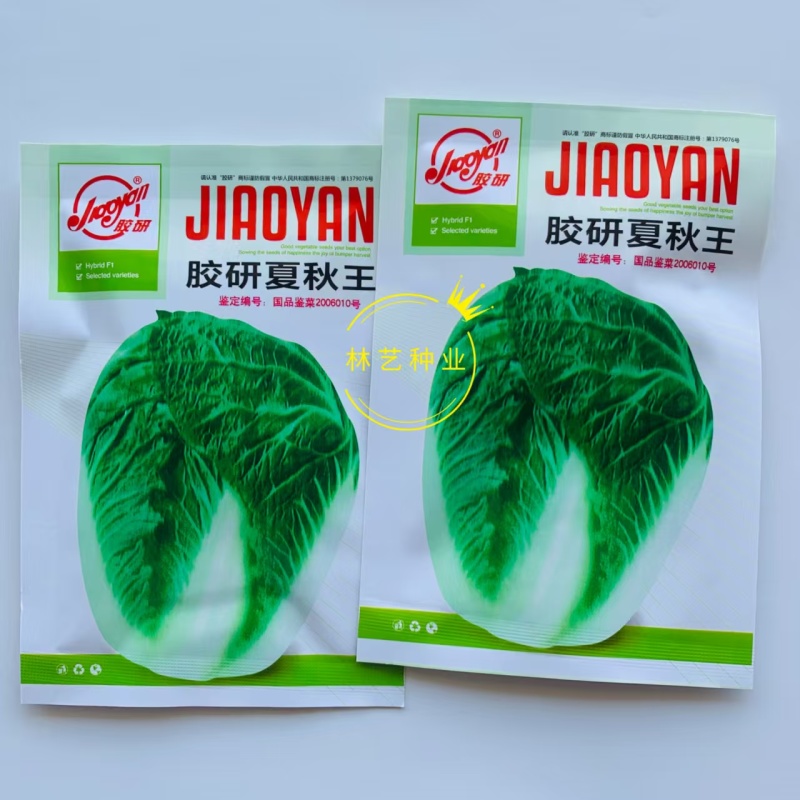 胶研夏秋王大白菜种子籽早熟叶球叠抱叶柄白色耐热耐湿