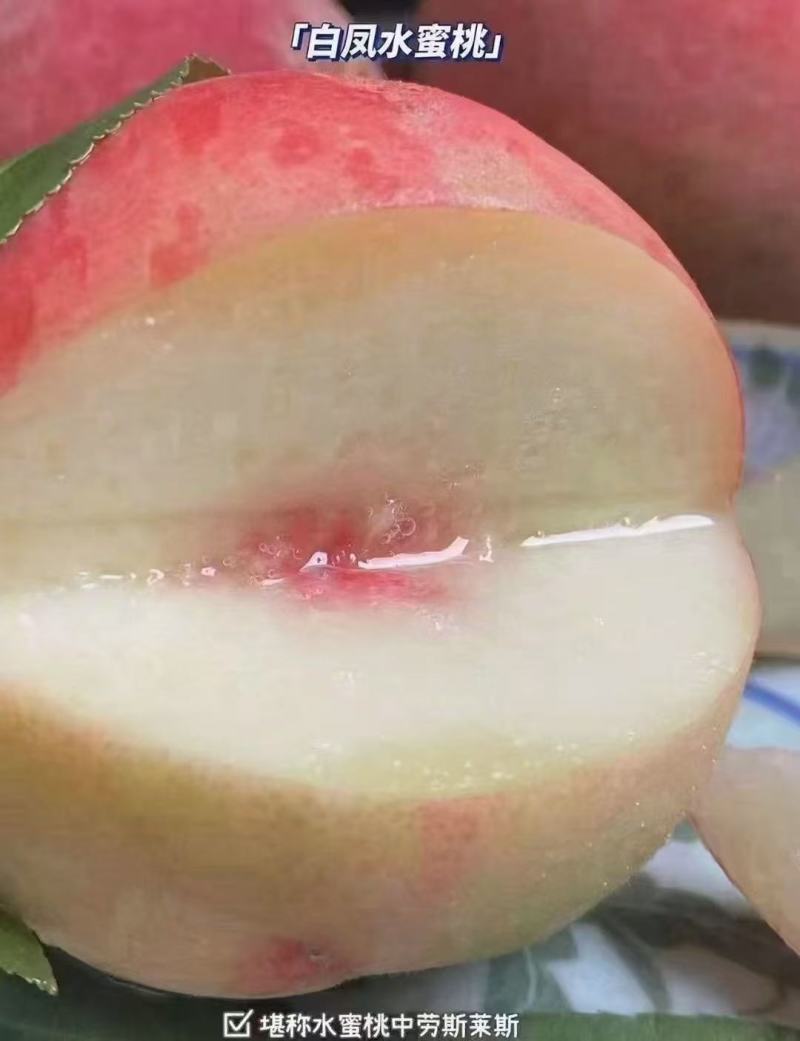 古田县白凤水蜜桃