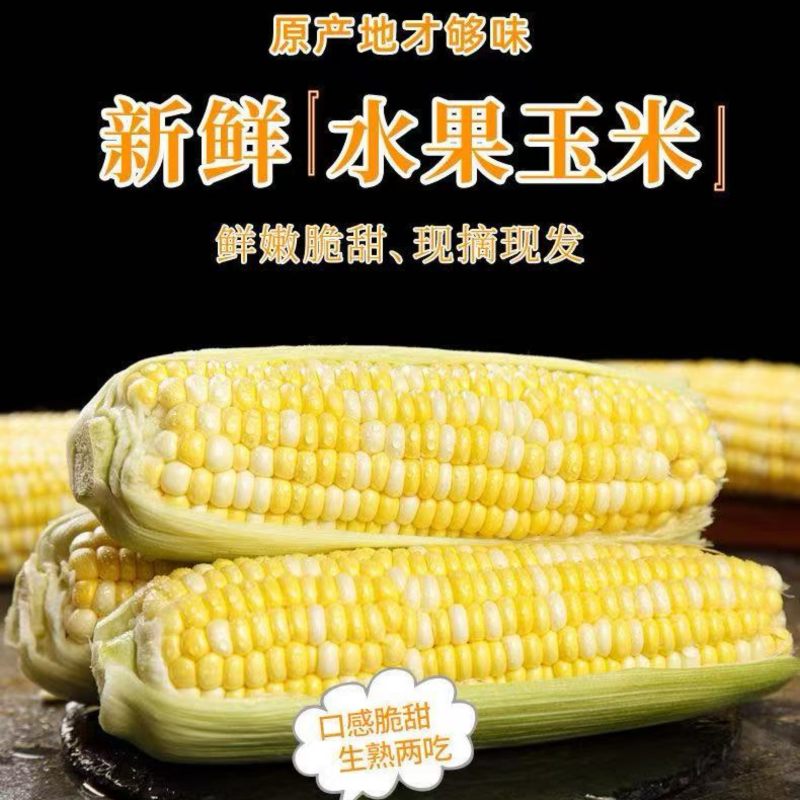 批发云南现摘水果玉米甜玉米新鲜超甜可生吃可代发