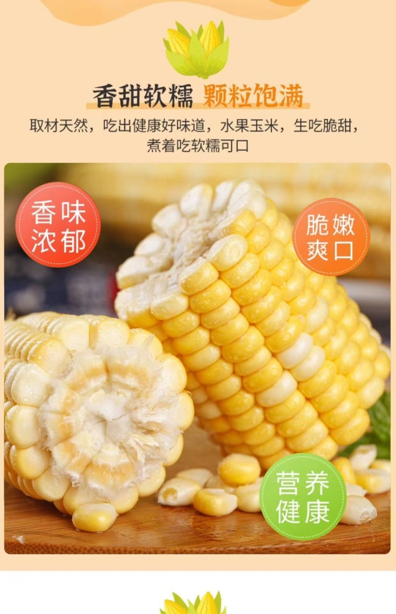 批发云南现摘水果玉米甜玉米新鲜超甜可生吃可代发