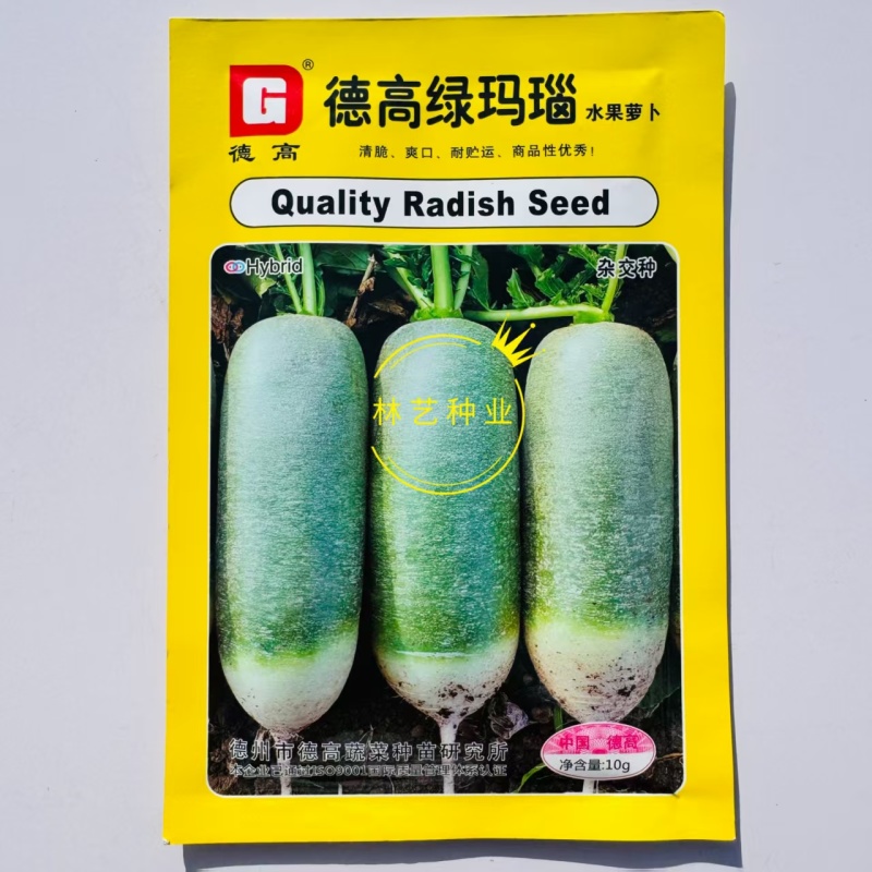 德高绿玛瑙水果青萝卜种子青脆爽口肉质翠绿萝卜种籽四季蔬菜
