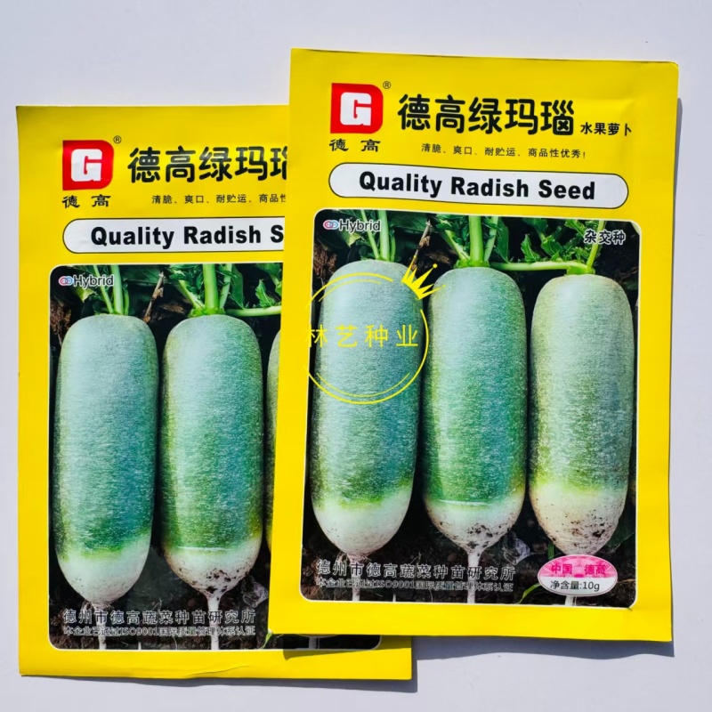 德高绿玛瑙水果青萝卜种子青脆爽口肉质翠绿萝卜种籽四季蔬菜