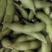 徐州精品毛豆大量上市