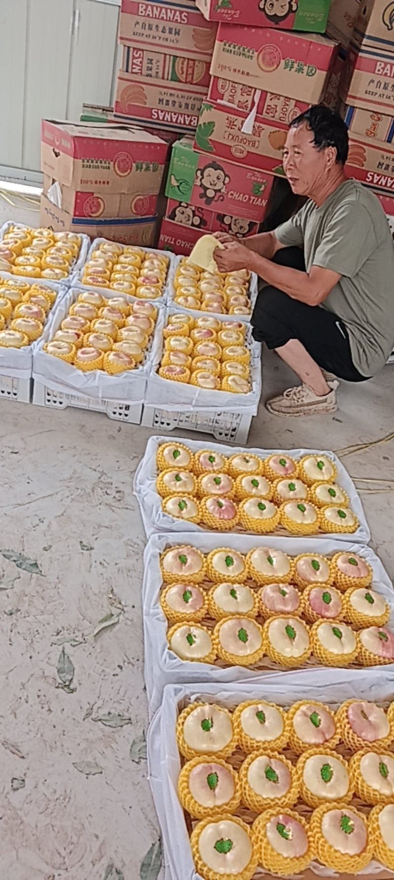 奶油蟠8，露天货，糖最15，最高18