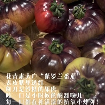 紫罗兰，紫元帅，精品口感番茄，花青素满满