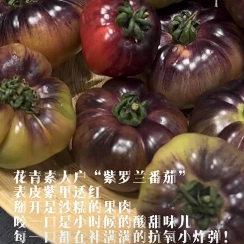 紫罗兰，紫元帅，精品口感番茄，花青素满满
