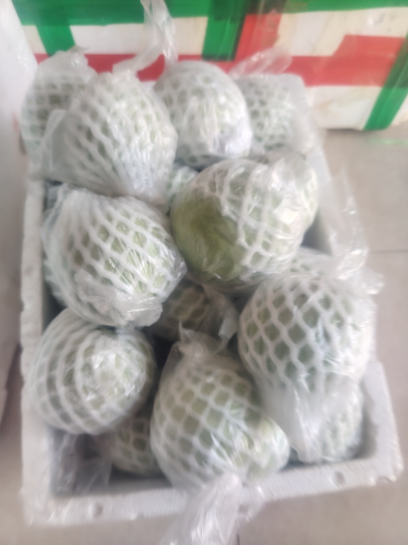 精品芭乐，白心7毛，红心1元，产地直发，一手货源。